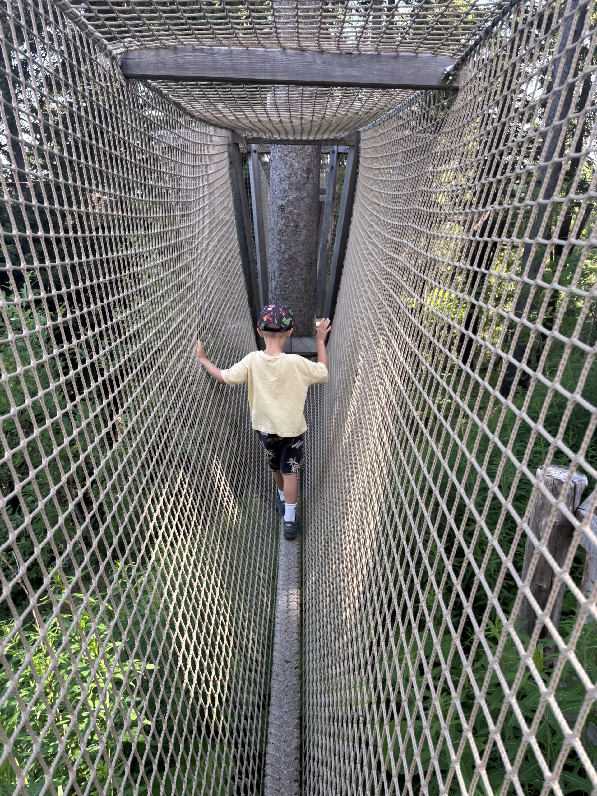 Besucher auf einer schmalen Seilbrücke des Wipfelpfads Fräkmüntegg am Pilatus zwischen den Baumwipfeln.
